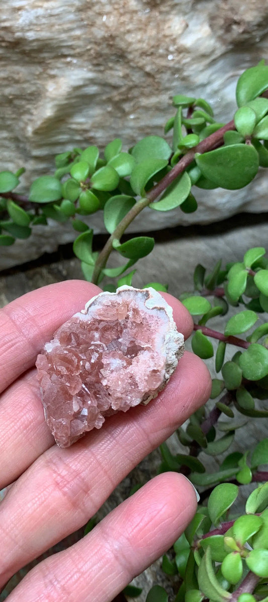 Pink Amethyst Choique Mine ( Approx. 1 3/4”)  Pehuenches - Neuquén Argentina, Heart Healing, Gift Item CRY-0285 Shop Wholesale Crystals