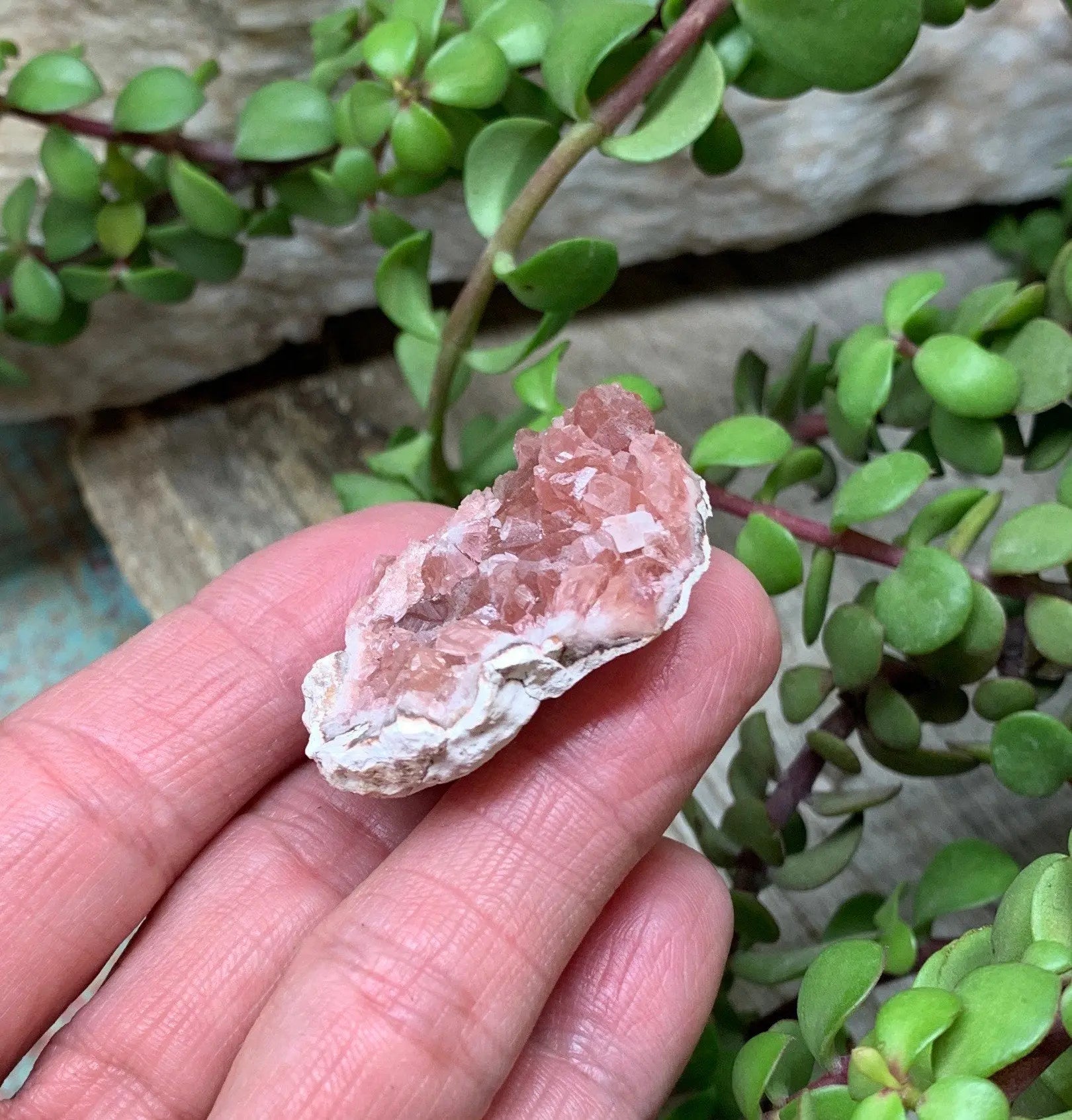 Pink Amethyst Choique Mine ( Approx. 1 3/4”)  Pehuenches - Neuquén Argentina, Heart Healing, Gift Item CRY-0285 Shop Wholesale Crystals