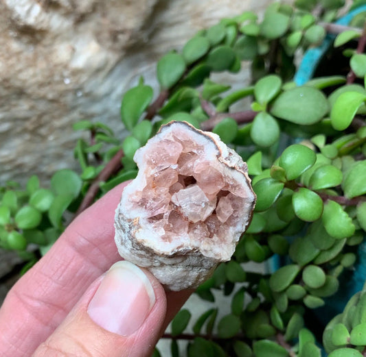 Pink Amethyst Choique Mine ( Approx. 1 3/4”)  Pehuenches - Neuquén Argentina, Heart Healing, Gift Item CRY-0279 Shop Wholesale Crystals