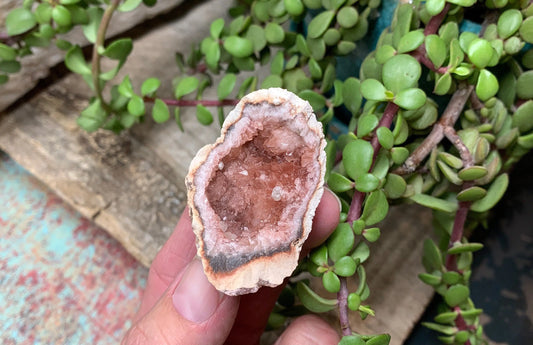 Pink Amethyst Choique Mine ( Approx. 2”)       Pehuenches - Neuquén Argentina, Heart Healing, Gift Item CRY-0274 Shop Wholesale Crystals