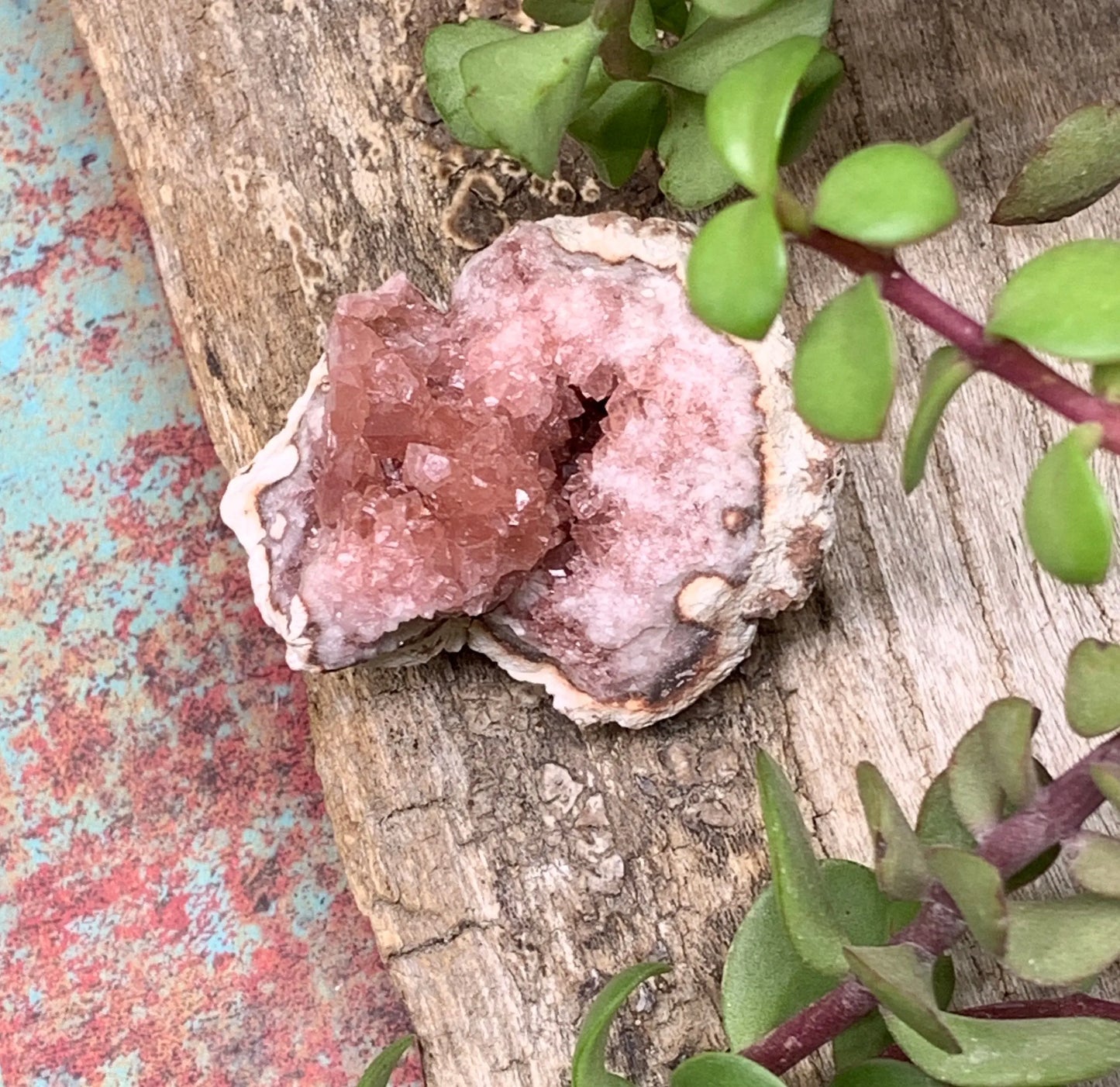 Pink Amethyst Choique Mine ( Approx. 2”)       Pehuenches - Neuquén Argentina, Heart Healing, Gift Item CRY-0273 Shop Wholesale Crystals