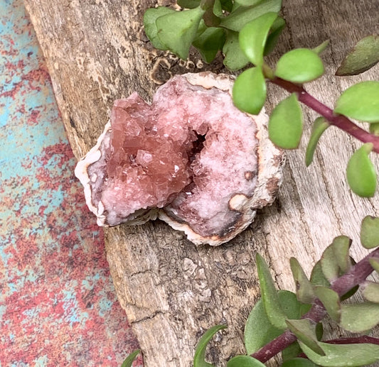 Pink Amethyst Choique Mine ( Approx. 2”)       Pehuenches - Neuquén Argentina, Heart Healing, Gift Item CRY-0273 Shop Wholesale Crystals
