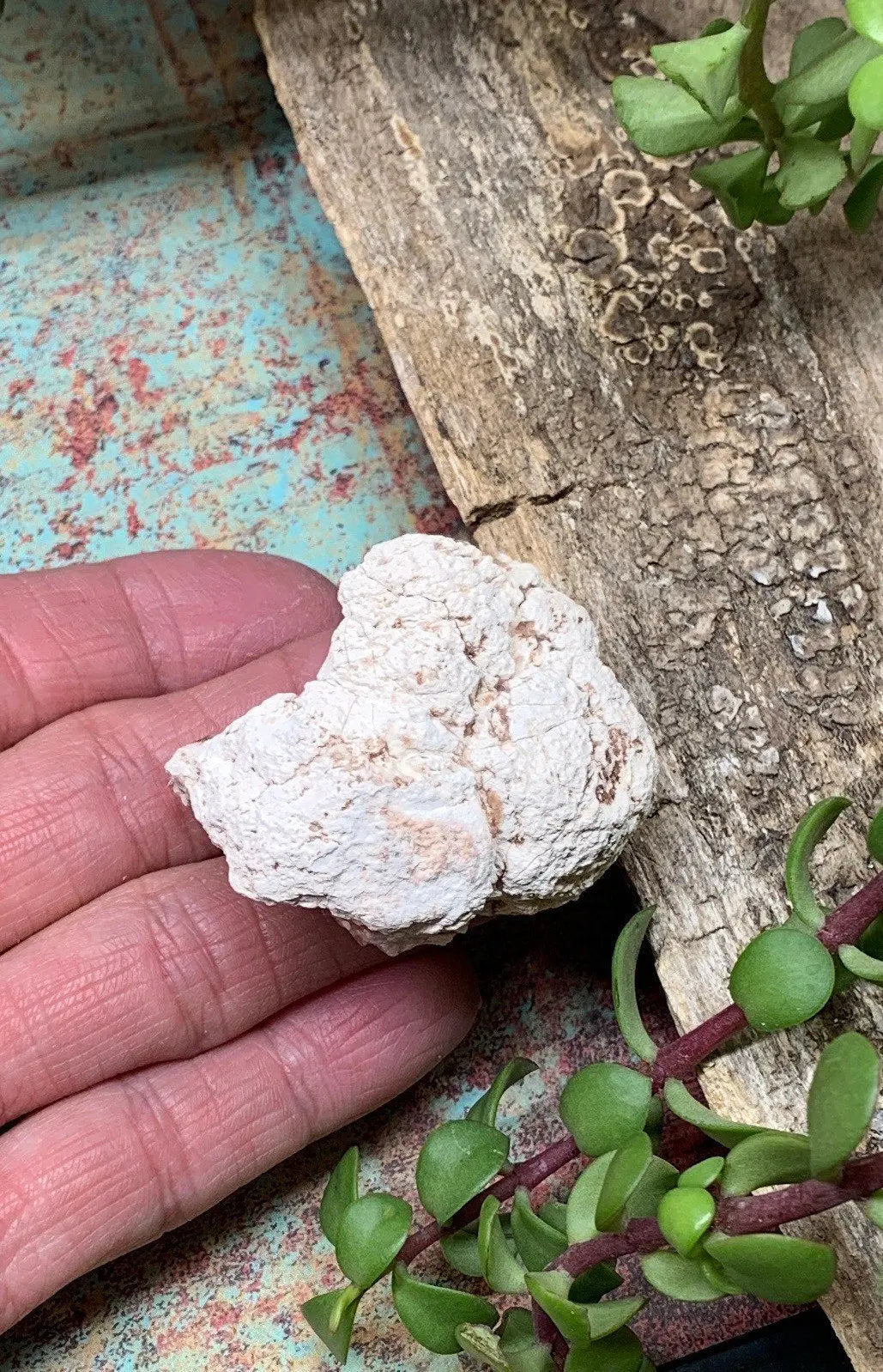 Pink Amethyst Choique Mine ( Approx. 2”)       Pehuenches - Neuquén Argentina, Heart Healing, Gift Item CRY-0273 Shop Wholesale Crystals