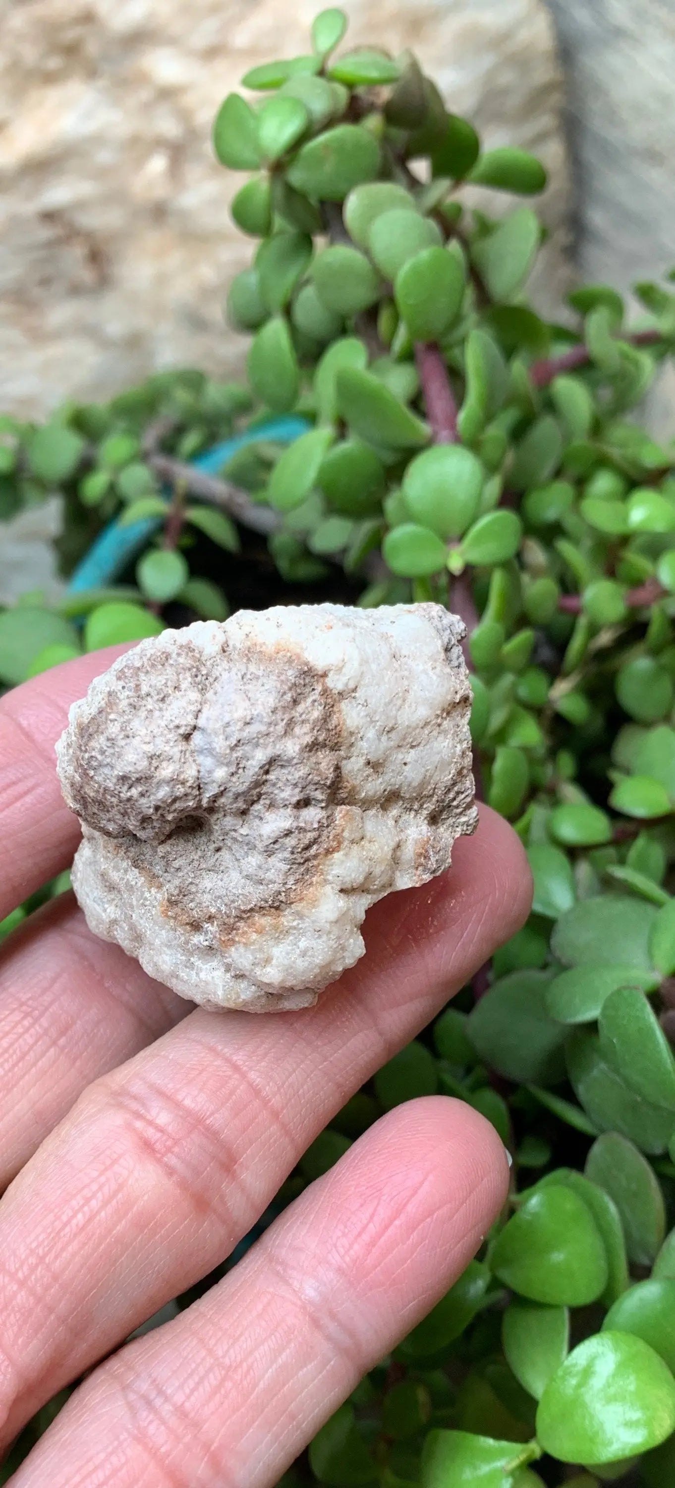 Pink Amethyst Choique Mine ( Approx. 1 3/4”)       Pehuenches - Neuquén Argentina, Heart Healing, Gift Item CRY-0272 Shop Wholesale Crystals