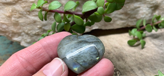 Labradorite Heart (Approx. 1 1/2” wide) Healing Iridescent Blue Feldspar, Flash, Stone for Wire Wrapping HRT-0093