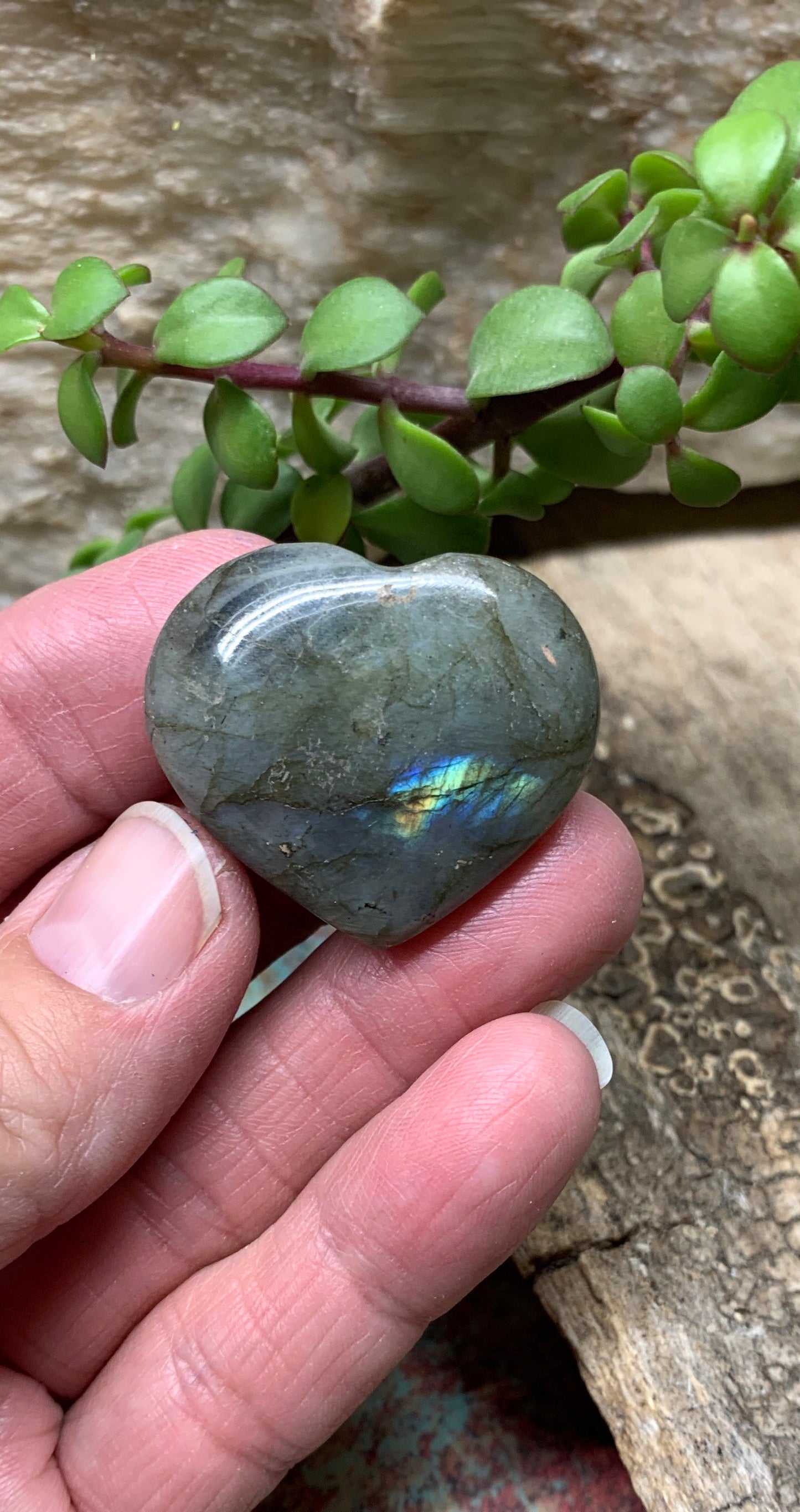 Labradorite Heart (Approx. 1 1/2” wide) Healing Iridescent Blue Feldspar, Flash, Stone for Wire Wrapping HRT-0093