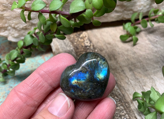 Labradorite Heart (Approx. 1 1/2” wide) Healing Iridescent Blue Feldspar, Flash, Stone for Wire Wrapping HRT-0091