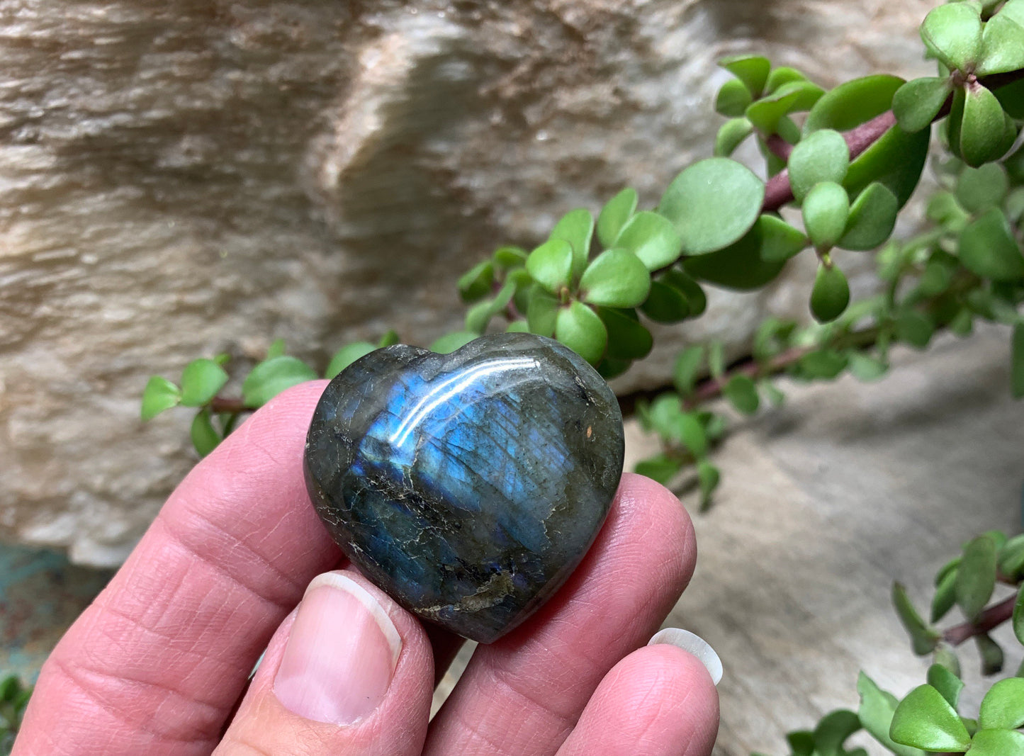 Labradorite Heart (Approx. 1 1/2” wide) Healing Iridescent Blue Feldspar, Flash, Stone for Wire Wrapping HRT-0082