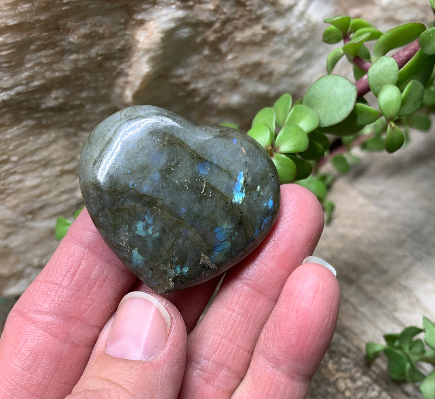 Labradorite Heart (Approx. 1 3/4” wide) Healing Iridescent Blue Feldspar, Flash, Stone for Wire Wrapping HRT-0079