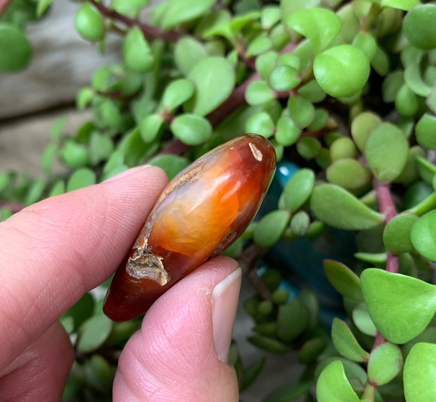 Carnelian Agate Quartz Puffy Heart, Beautiful, Polished, Creativity Stone, Passion, Manifesting Abundance (Approx. 1 1/2”) HRT-0269 Shop Wholesale Crystals