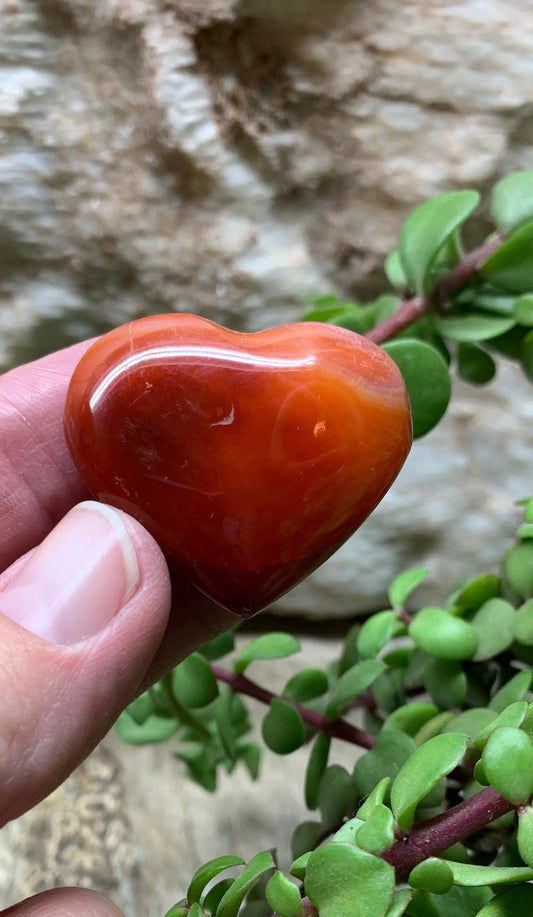 Carnelian Agate Quartz Puffy Heart, Beautiful, Polished, Creativity Stone, Passion, Manifesting Abundance (Approx. 1 1/2”)   HRT-0259 Shop Wholesale Crystals