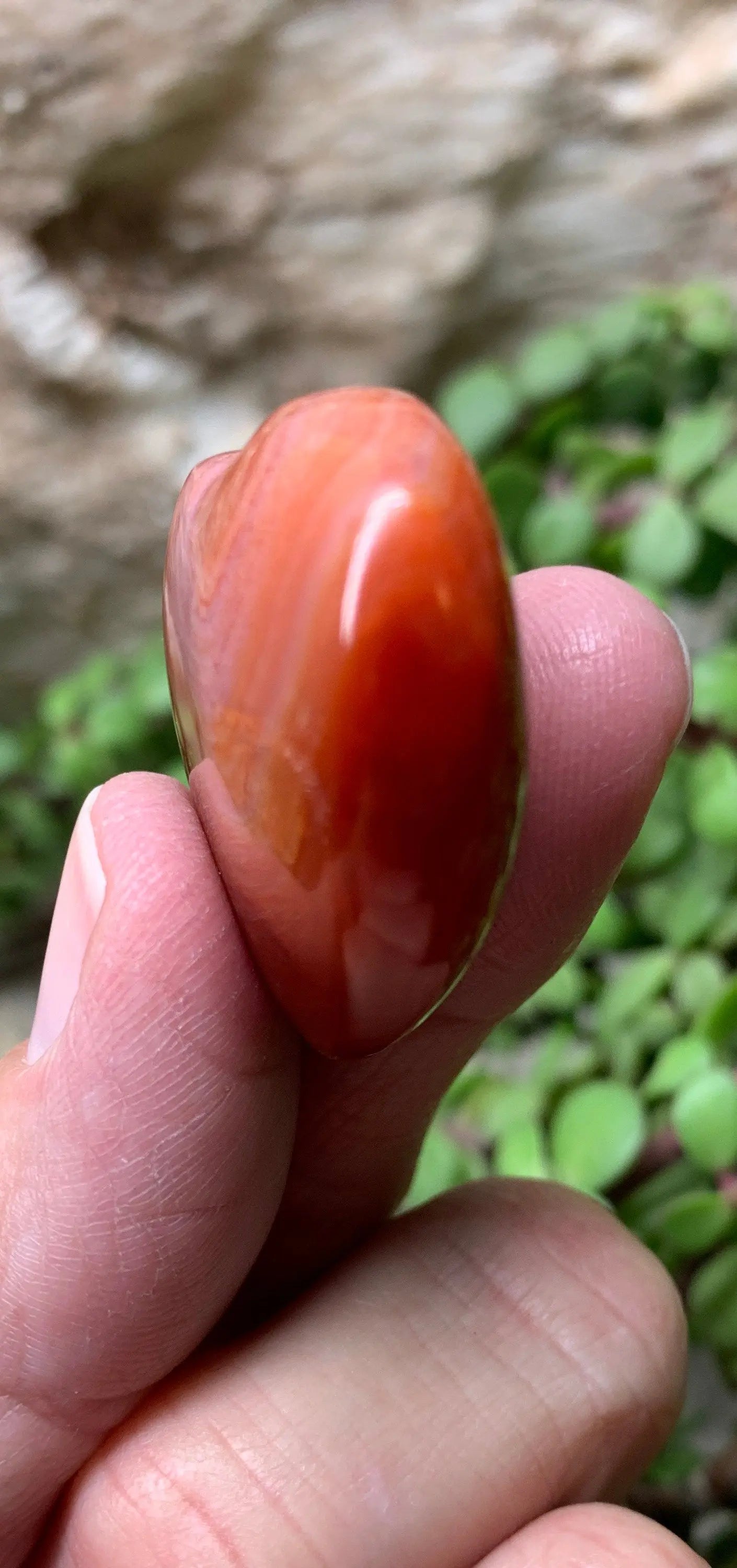 Carnelian Agate Quartz Puffy Heart, Beautiful, Polished, Creativity Stone, Passion, Manifesting Abundance (Approx. 1 1/2”)   HRT-0259 Shop Wholesale Crystals