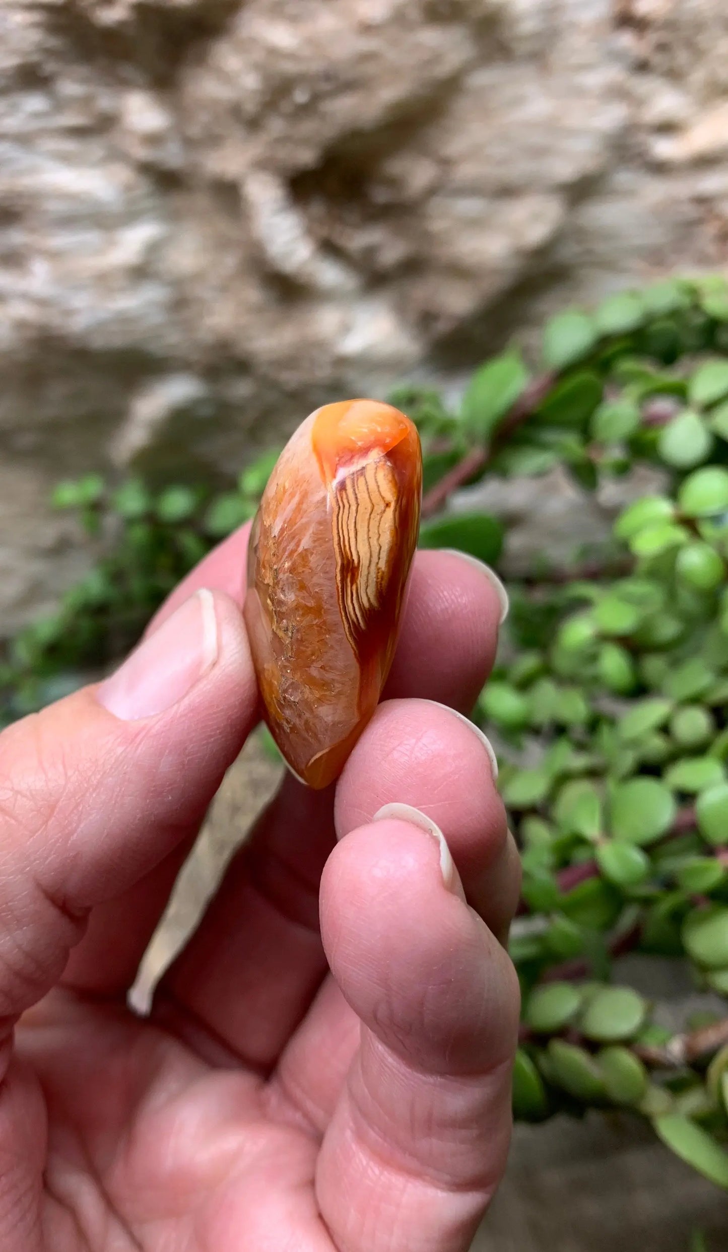 Carnelian Agate Quartz Puffy Heart, Beautiful, Polished, Creativity Stone, Passion, Manifesting Abundance (Approx. 1 1/2”) HRT-0255 Shop Wholesale Crystals