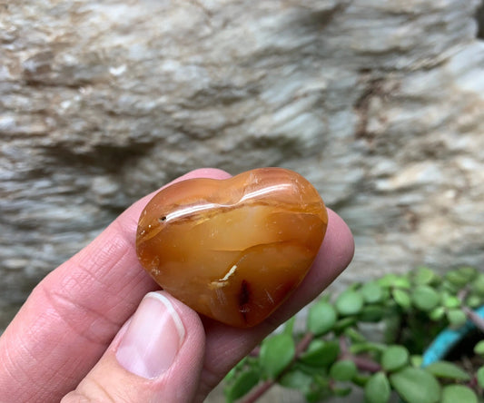 Carnelian Agate Quartz Puffy Heart, Beautiful, Polished, Creativity Stone, Passion, Manifesting Abundance (Approx. 1 1/2”) HRT-0254 Shop Wholesale Crystals