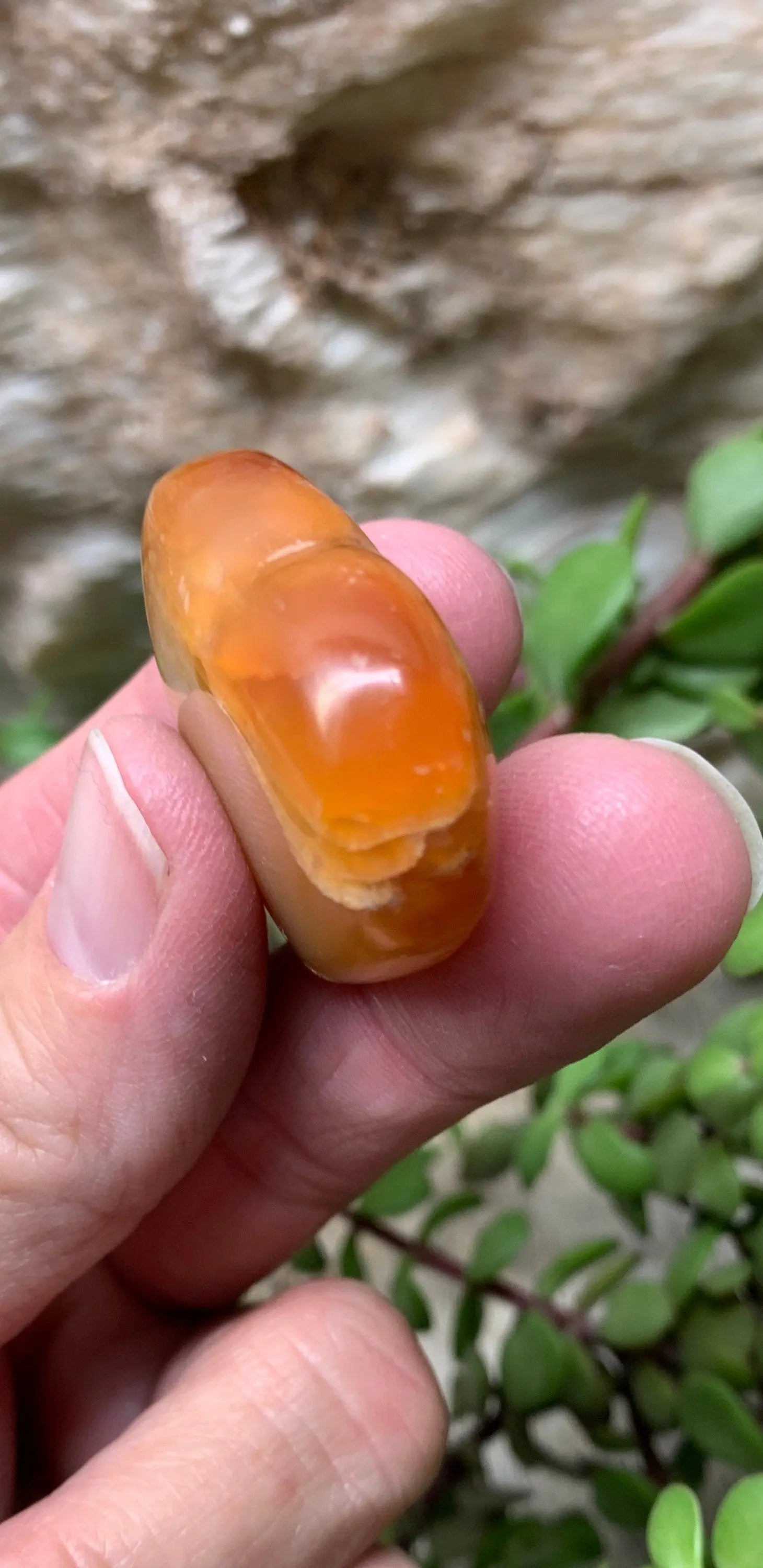 Carnelian Agate Quartz Puffy Heart, Beautiful, Polished, Creativity Stone, Passion, Manifesting Abundance (Approx. 1 1/2”) HRT-0254 Shop Wholesale Crystals