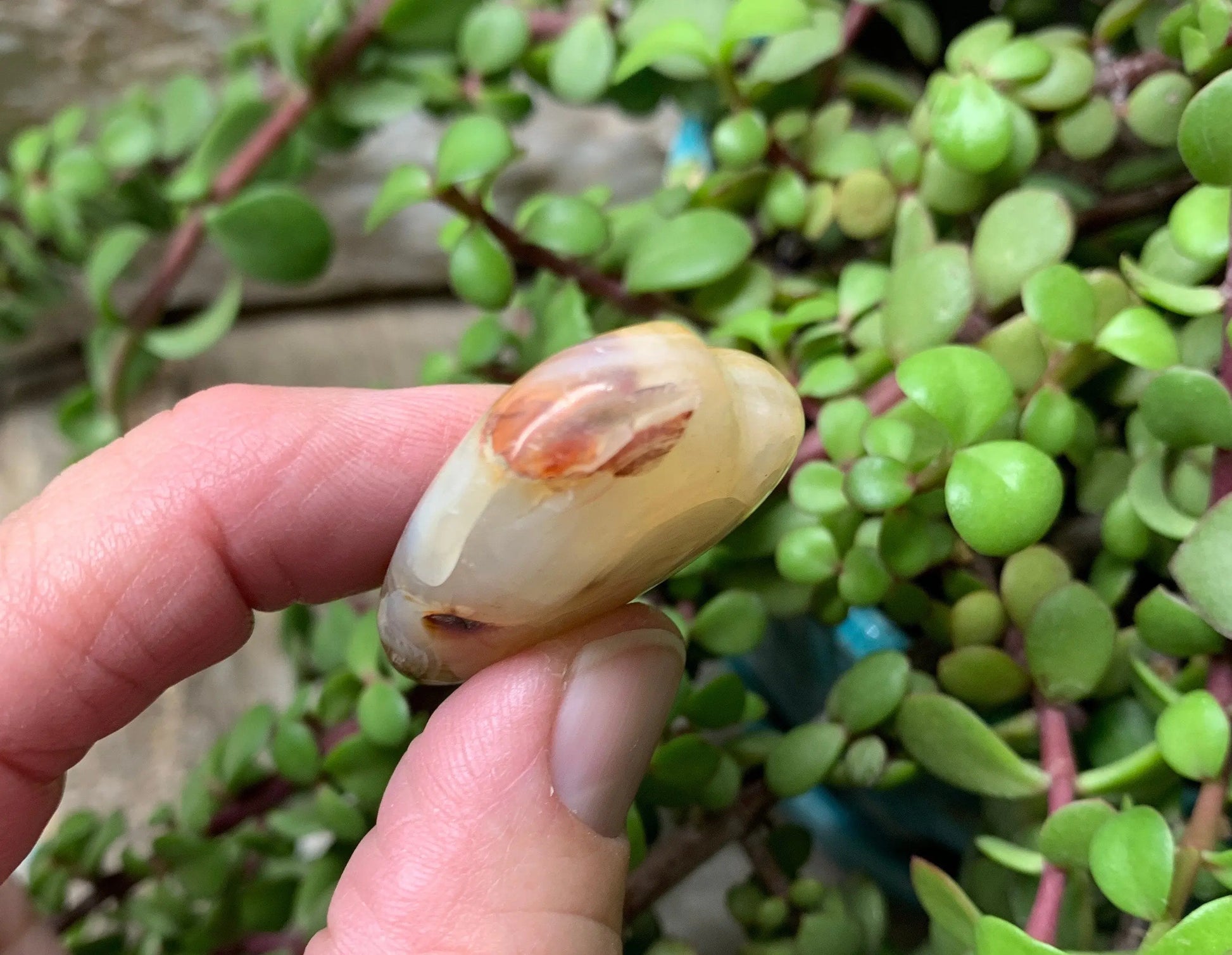 Carnelian Agate Quartz Puffy Heart, Beautiful, Polished, Creativity Stone, Passion, Manifesting Abundance (Approx. 1 1/2”) HRT-0250 Shop Wholesale Crystals