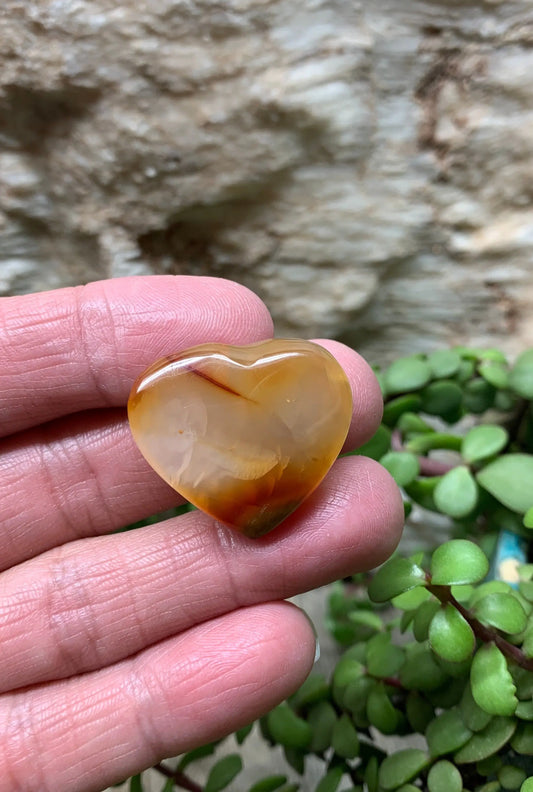 Carnelian Agate Quartz Puffy Heart, Beautiful, Polished, Creativity Stone, Passion, Manifesting Abundance (Approx. 1 1/4”) HRT-0240 Shop Wholesale Crystals