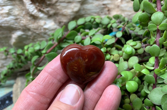 Carnelian Agate Quartz Puffy Heart, Beautiful, Polished, Creativity Stone, Passion, Manifesting Abundance (Approx. 1 1/2”) HRT-0249 Shop Wholesale Crystals