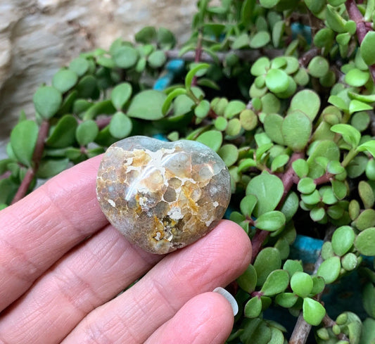 Green Ocean Jasper Heart, Puffy Heart.     (Approx 1 1/2”) BIN-0147 Shop Wholesale Crystals