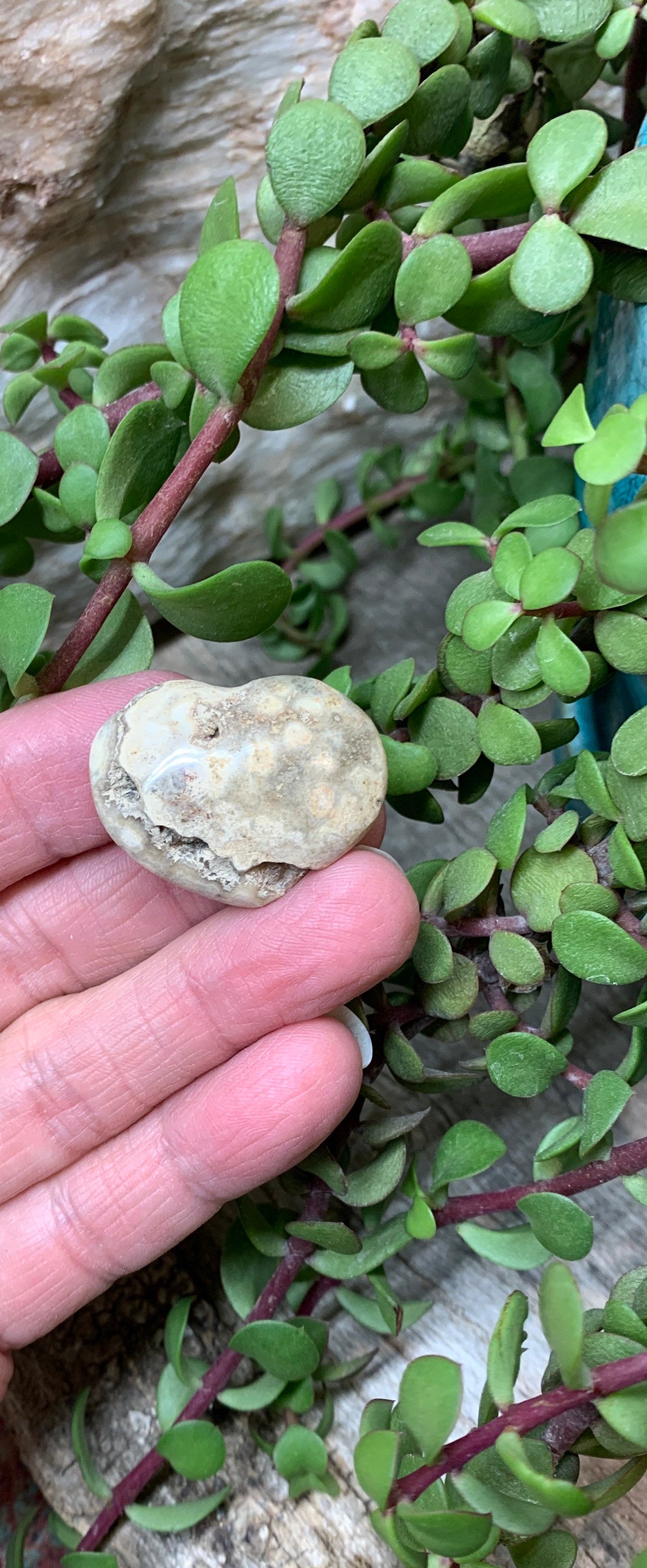 Tan Ocean Jasper Heart, Puffy Heart.     (Approx 1”)    BIN-0128