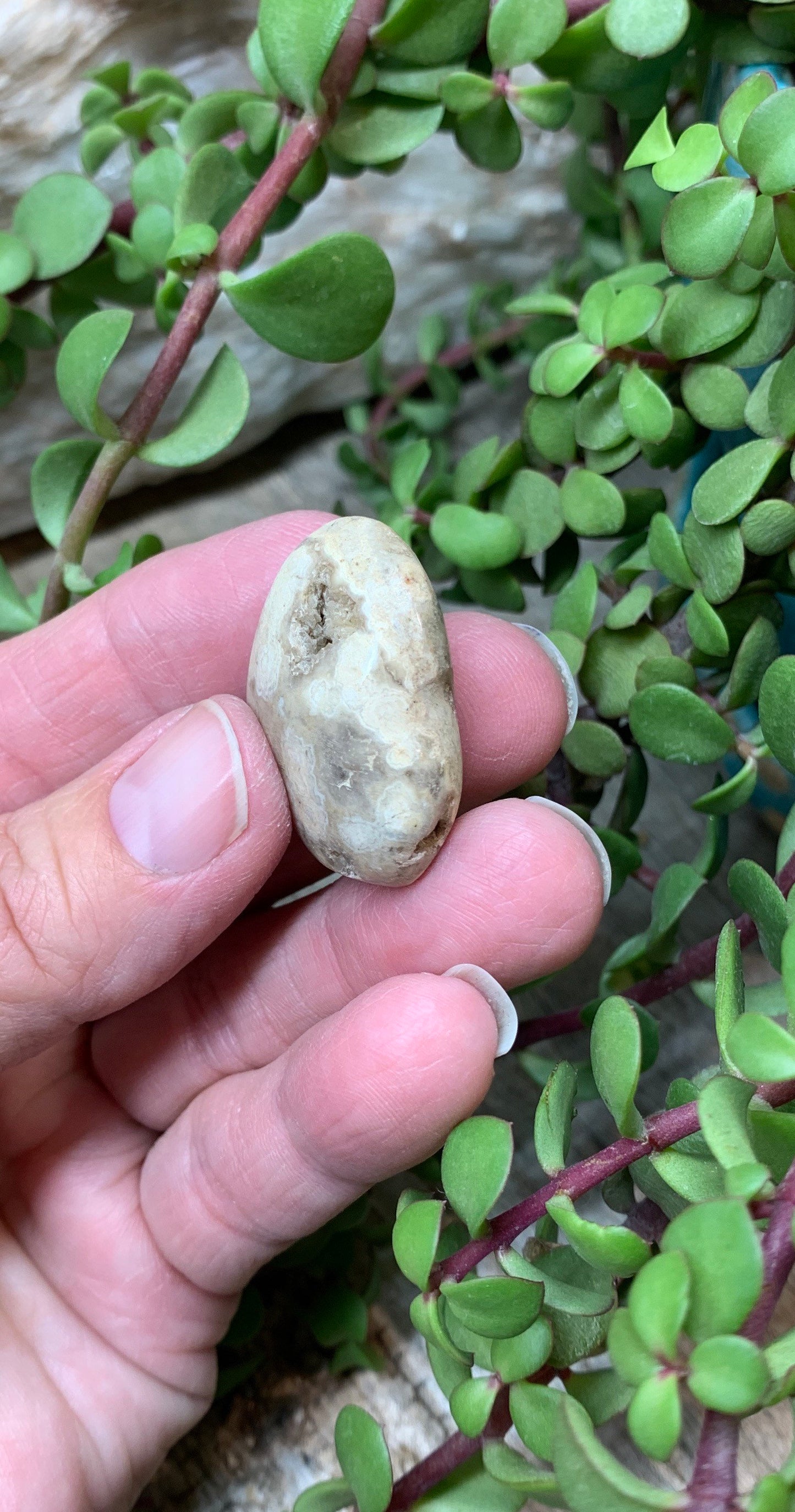 Tan Ocean Jasper Heart, Puffy Heart.     (Approx 1”)    BIN-0128