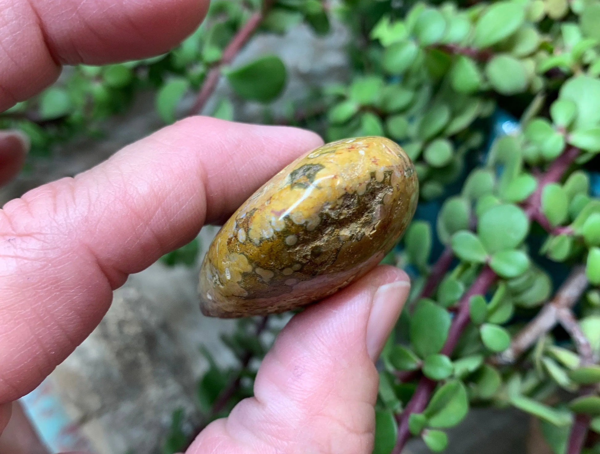 Orange Ocean Jasper Heart, Puffy Heart.    (Approx 2”)    BIN-0125 Shop Wholesale Crystals