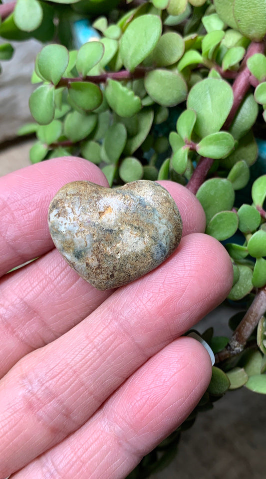 Brown Ocean Jasper Heart, Puffy Heart (Approx 1”) BIN-0100