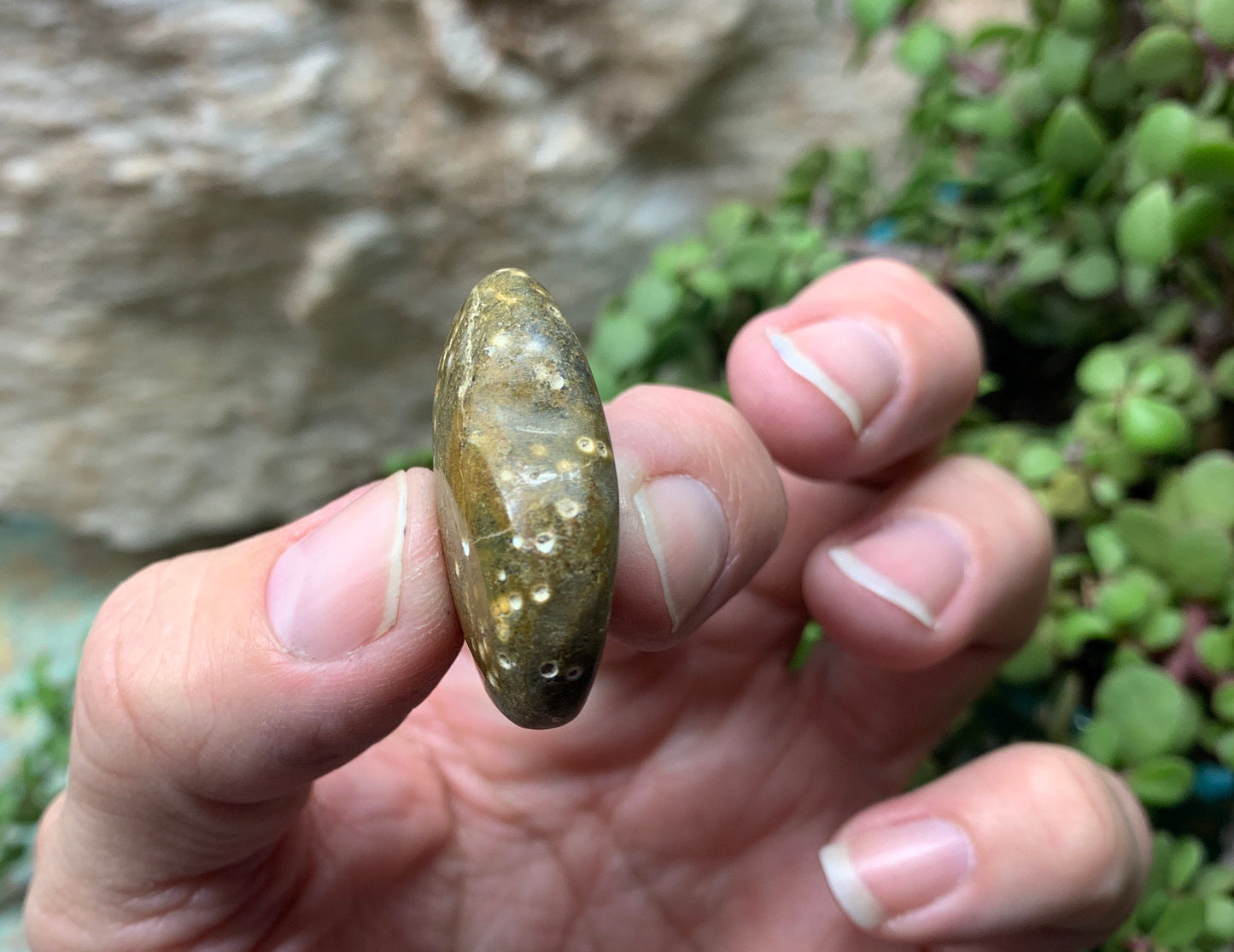 Brown Ocean Jasper Heart, Puffy Heart (Approx 1 1/2”) BIN-0098