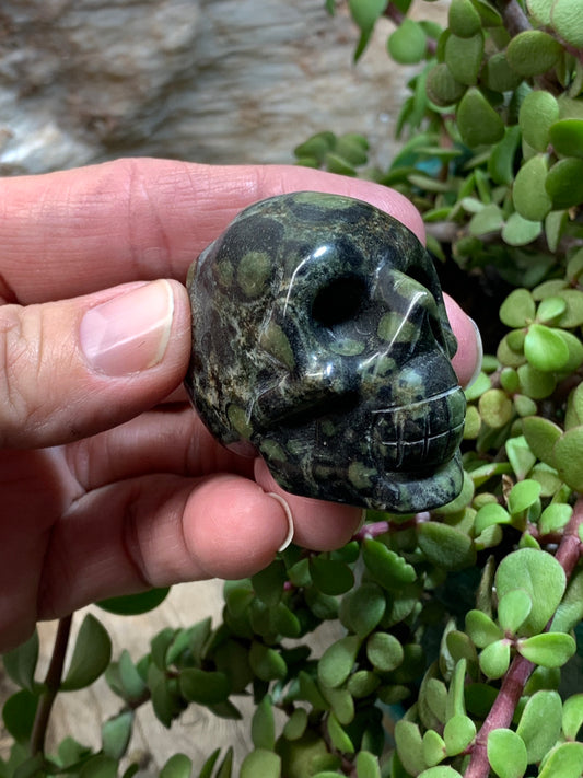 Carved Kambaba Jasper Skull (2" x 1 1/2 x 1 1/4"), Supply for Crystal Grid, Home Decor or Halloween, Gift Item FIG-0040