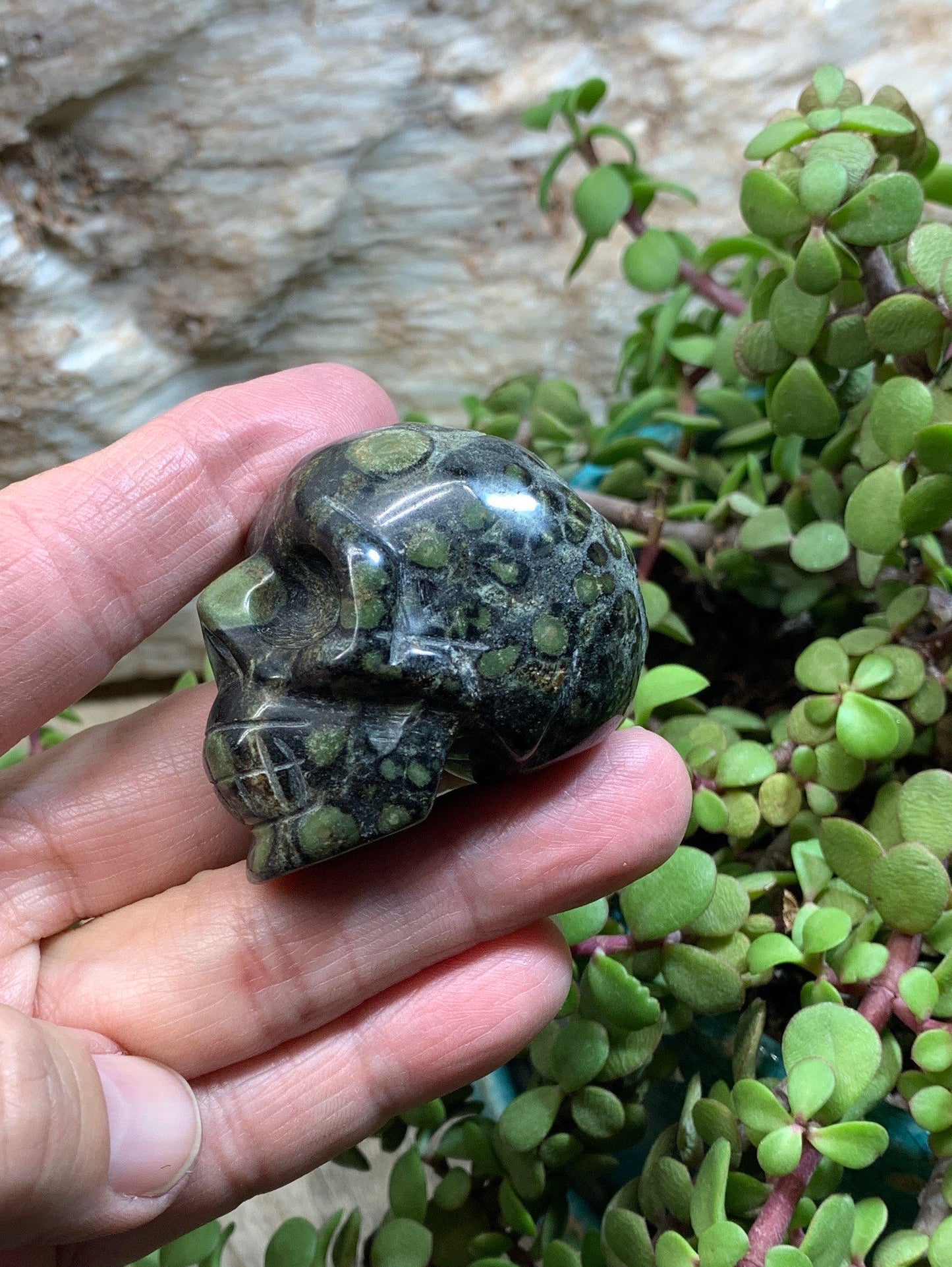 Carved Kambaba Jasper Skull (2" x 1 1/2 x 1 1/4"), Supply for Crystal Grid, Home Decor or Halloween, Gift Item FIG-0040