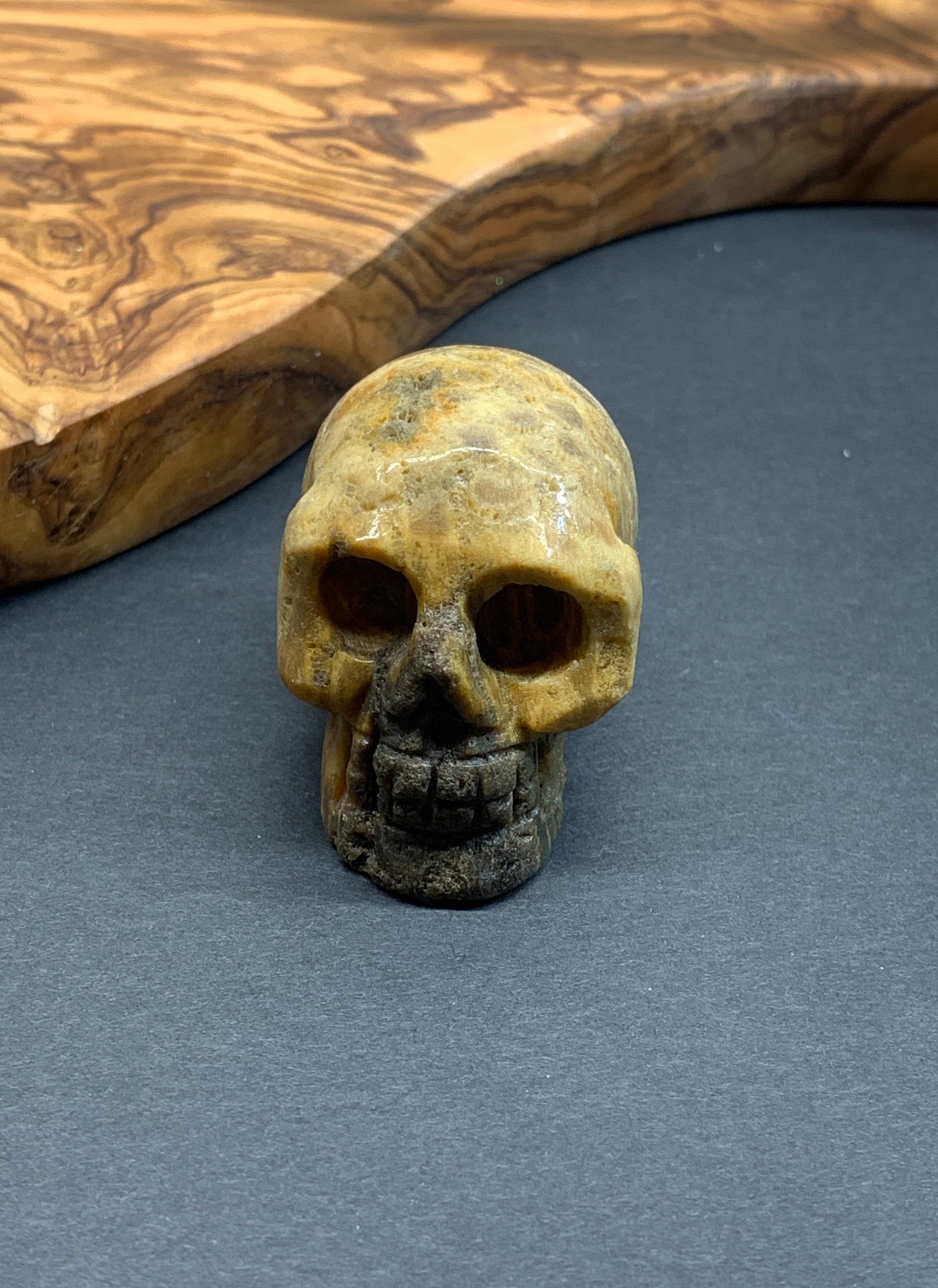 Carved Petrified Wood Skull (2" x 1 1/2 x 1 1/4"), Supply for Crystal Grid, Home Decor or Halloween, Gift Item FIG-0038