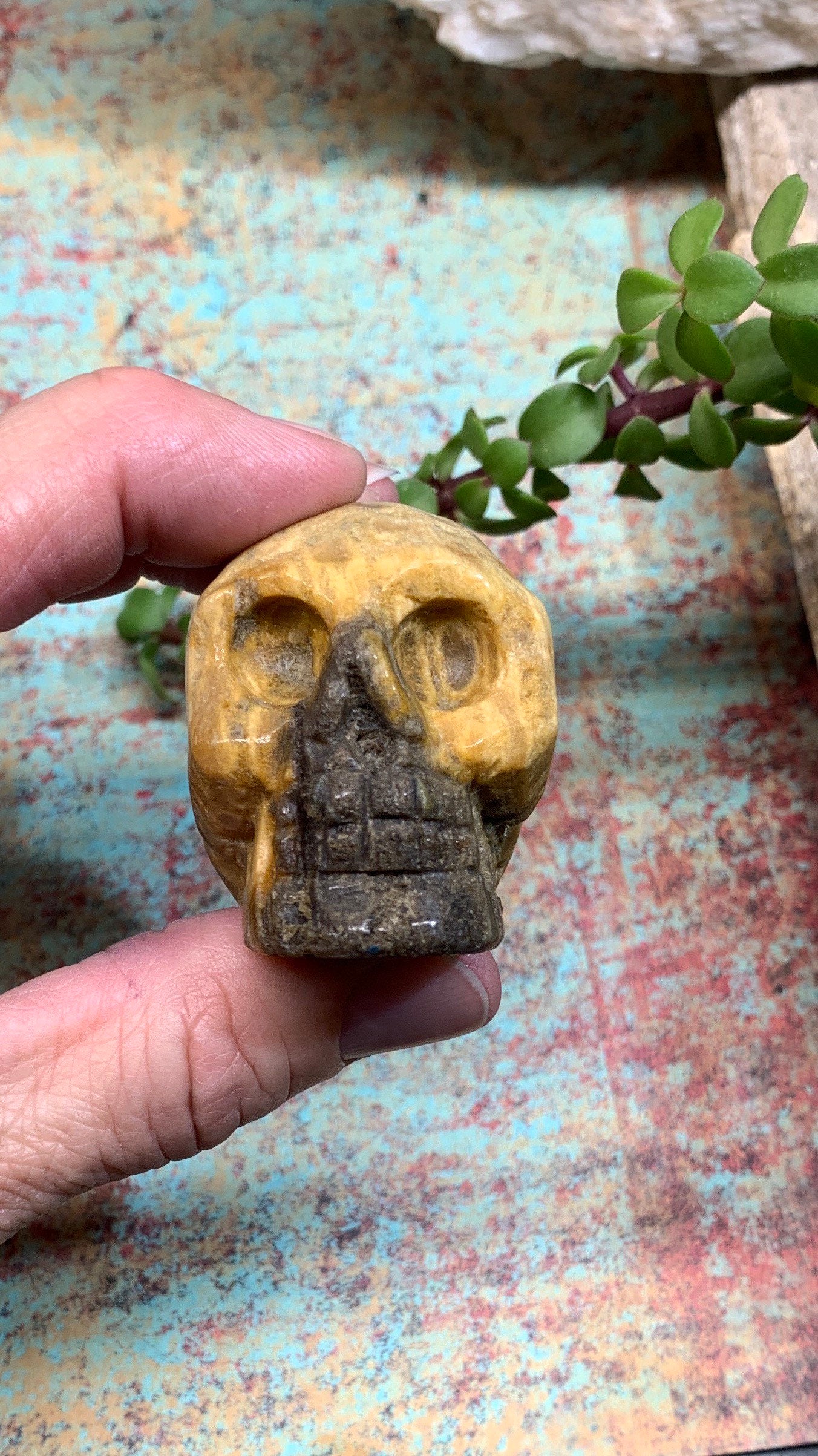 Carved Petrified Wood Skull (2" x 1 1/2 x 1 1/4"), Supply for Crystal Grid, Home Decor or Halloween, Gift Item FIG-0038