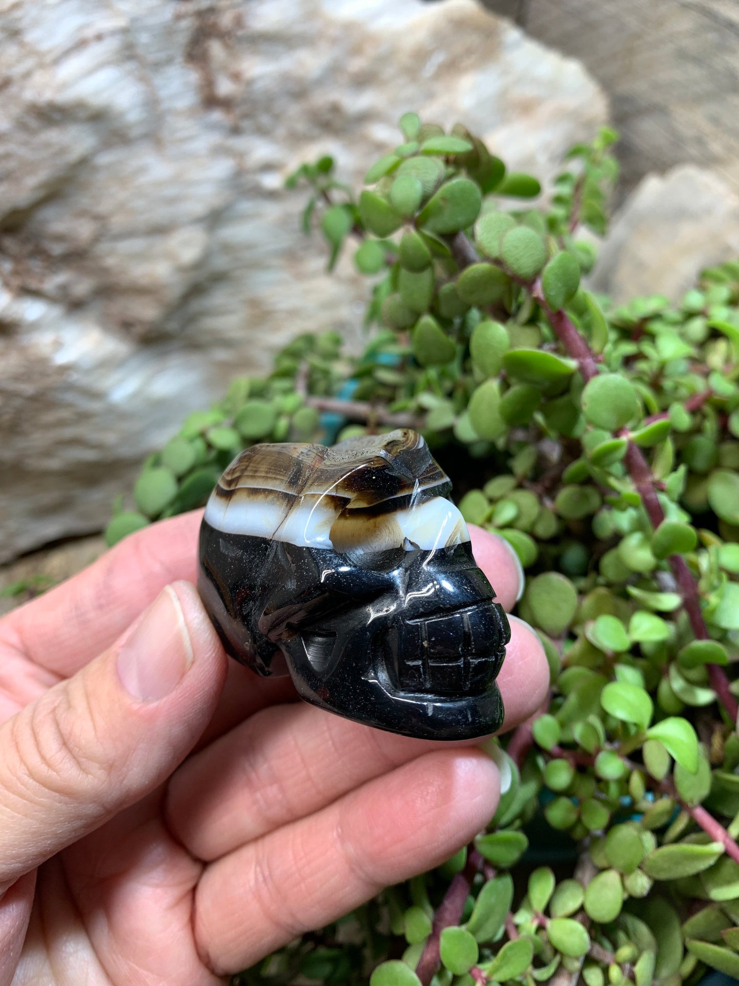 Carved Banded Agate Skull (2" x 1 1/2 x 1 1/4"), Supply for Crystal Grid, Home Decor or Halloween, Gift Item FIG-0035