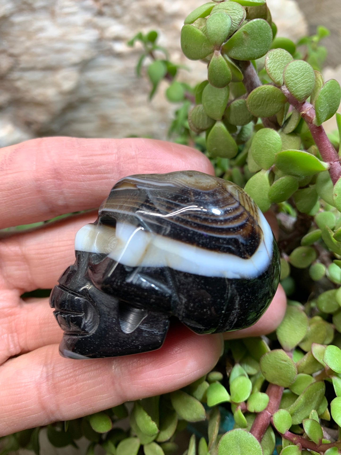 Carved Banded Agate Skull (2" x 1 1/2 x 1 1/4"), Supply for Crystal Grid, Home Decor or Halloween, Gift Item FIG-0035