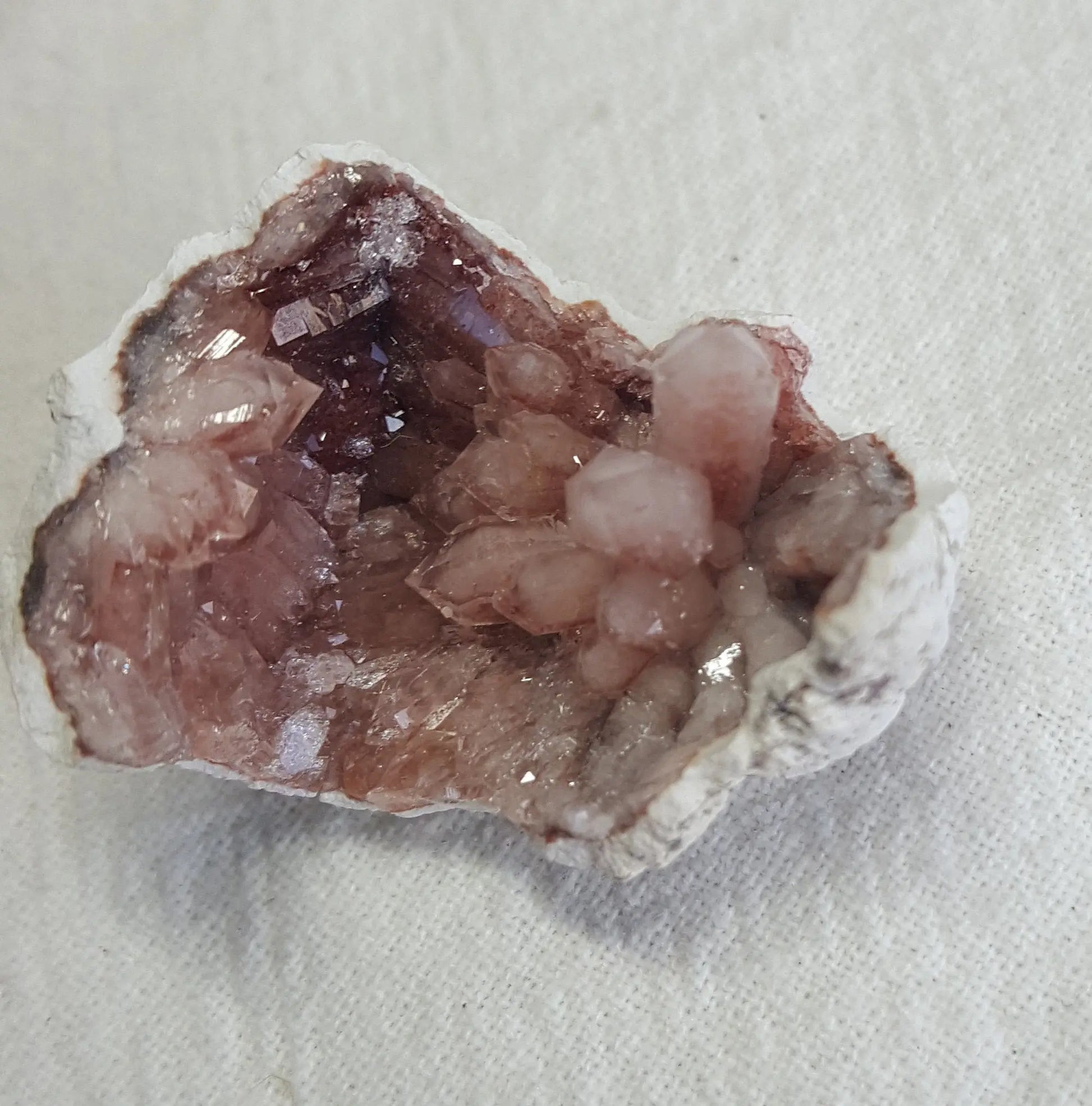 Pink Amethyst Choique Mine ( Approx. 1") Pehuenches - Neuquén Argentina CRY-0053 Shop Wholesale Crystals