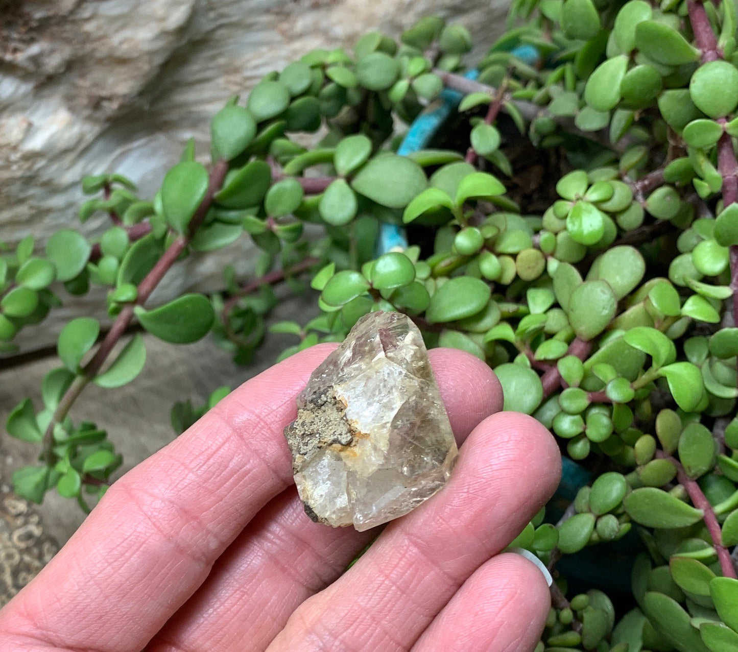 Herkimer Diamond,  Clarity, Beautiful, Rough Crystal, (Approx. 1”x 2 1/2”)    CRY-0153