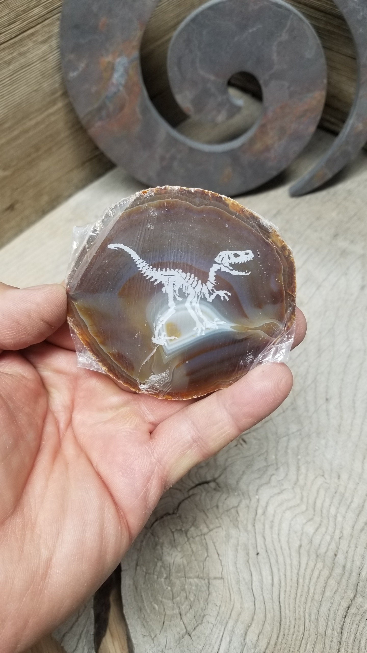 Agate Etched Slab, Dinosaur Skeleton Bones Sacred Ancestors Natural Agate Carving Age Box-1