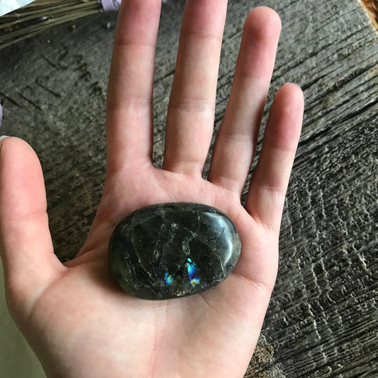 Small Labradorite Palm Stone, 2" x 1 2/5" Iridescent Stone for Crystal Grid or Craft Supply PLM-078 Shop Wholesale Crystals