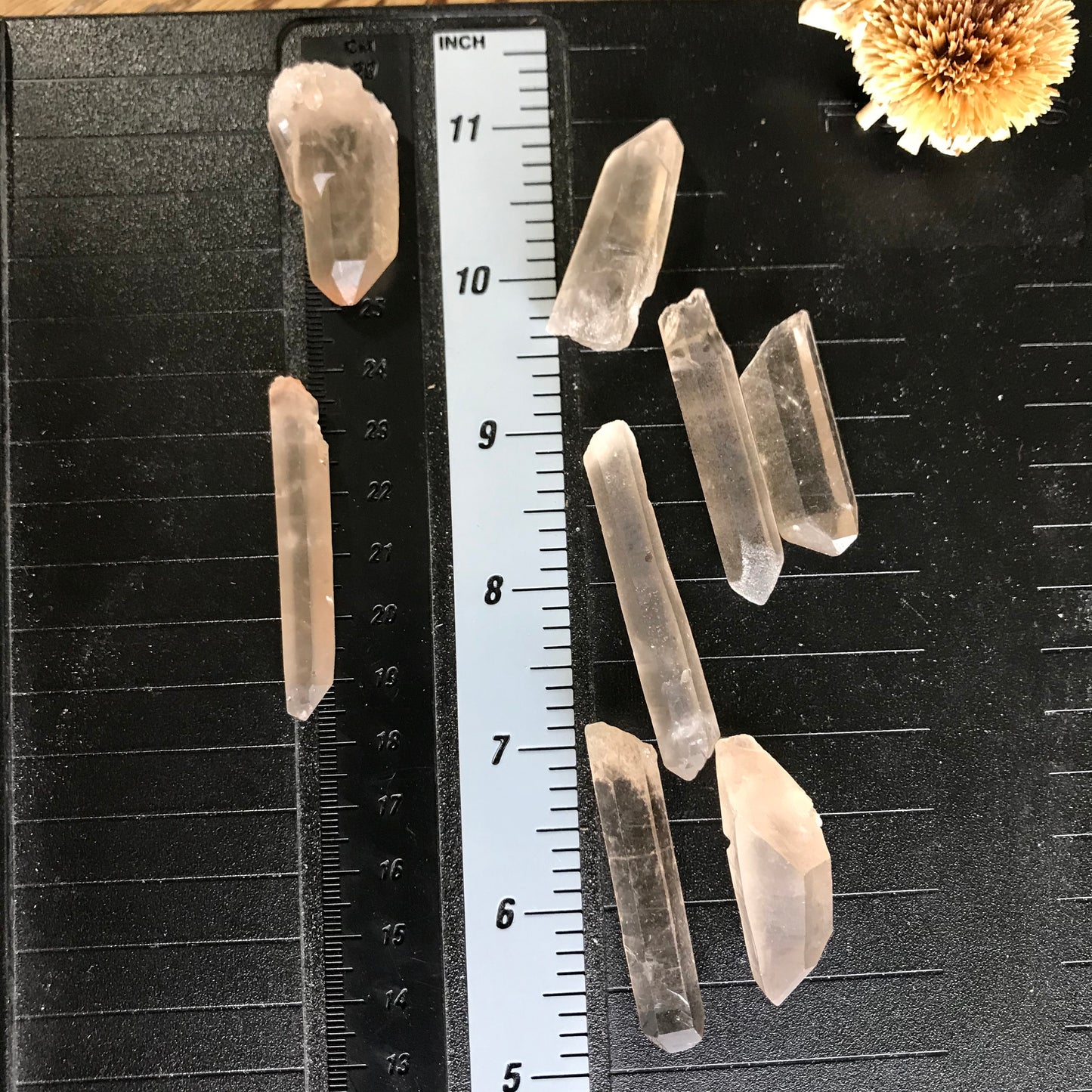 Natural Smokey Lemurian Seed Crystal , (Approx 1 3/4" long) One Crystal Point, Quartz Rough, for Crystal Grid Making or Wire Wrapping CRY-R-006