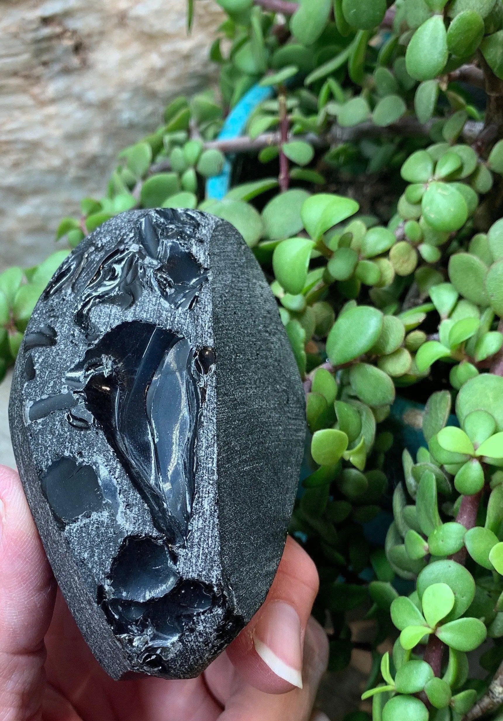 Rainbow Obsidian Stone     Approx. 3 1/2”     SPH-0224 Shop Wholesale Crystals