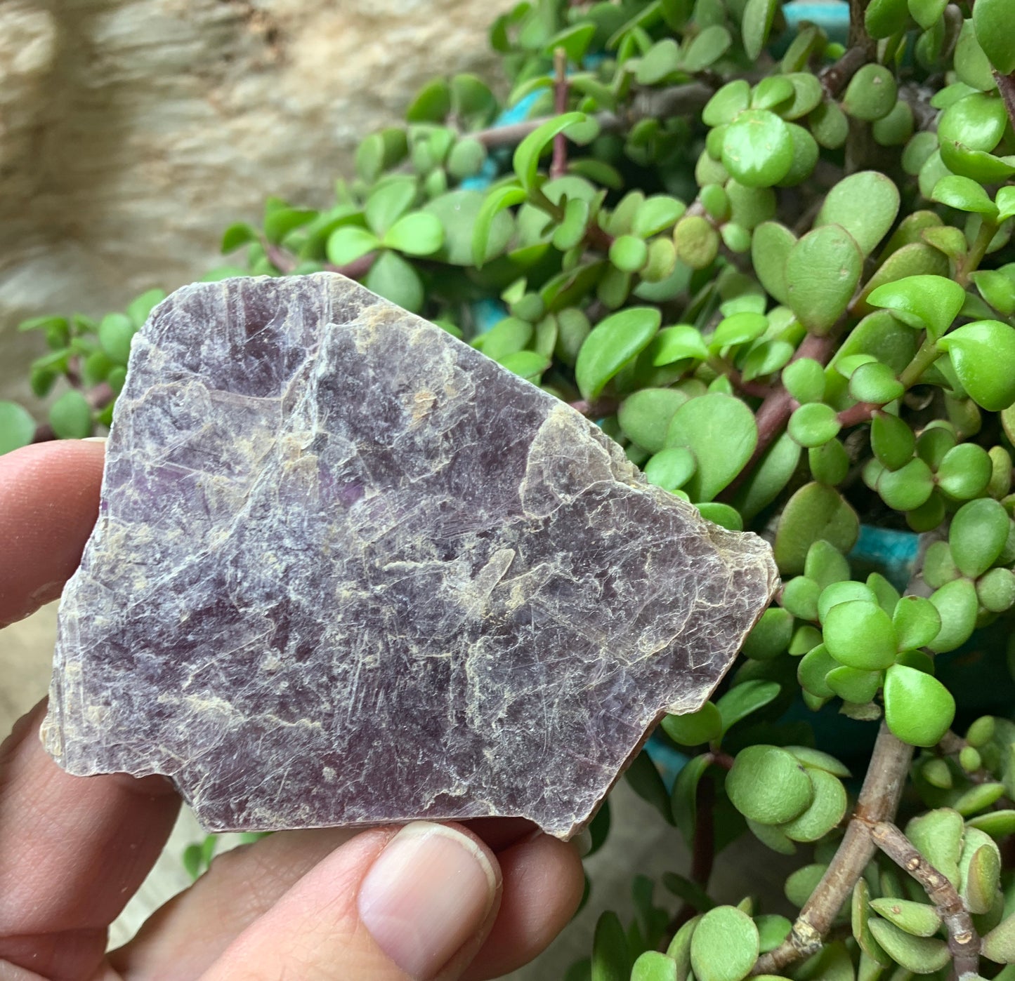 Lepidolite Stone         CRY-0569