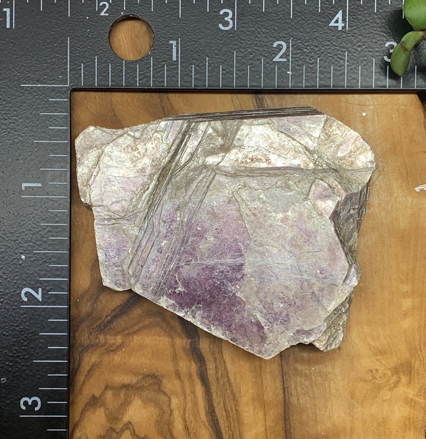 Lepidolite Stone         CRY-0569