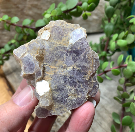 Lepidolite Stone         CRY-0558