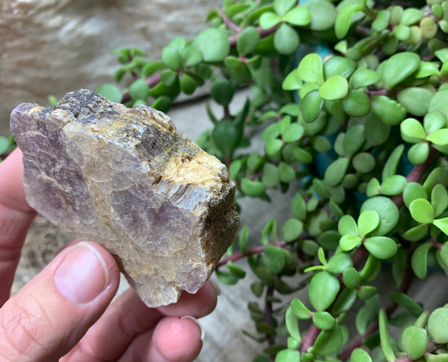 Lepidolite Stone         CRY-0558