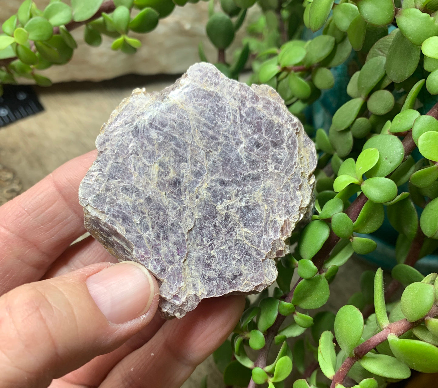 Lepidolite Stone         CRY-0570