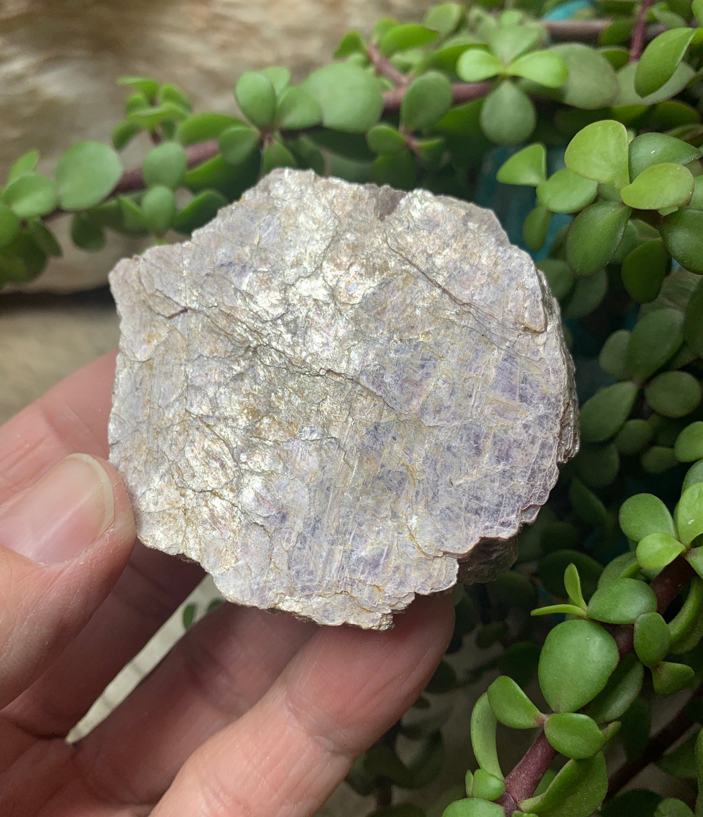 Lepidolite Stone         CRY-0570