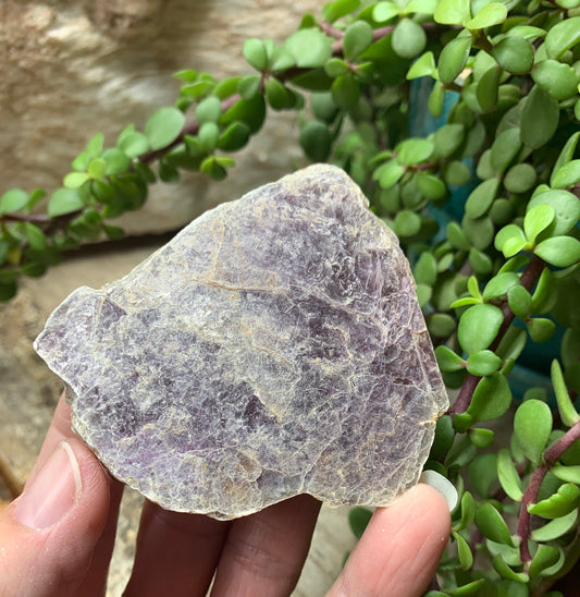 Lepidolite Stone         CRY-0565