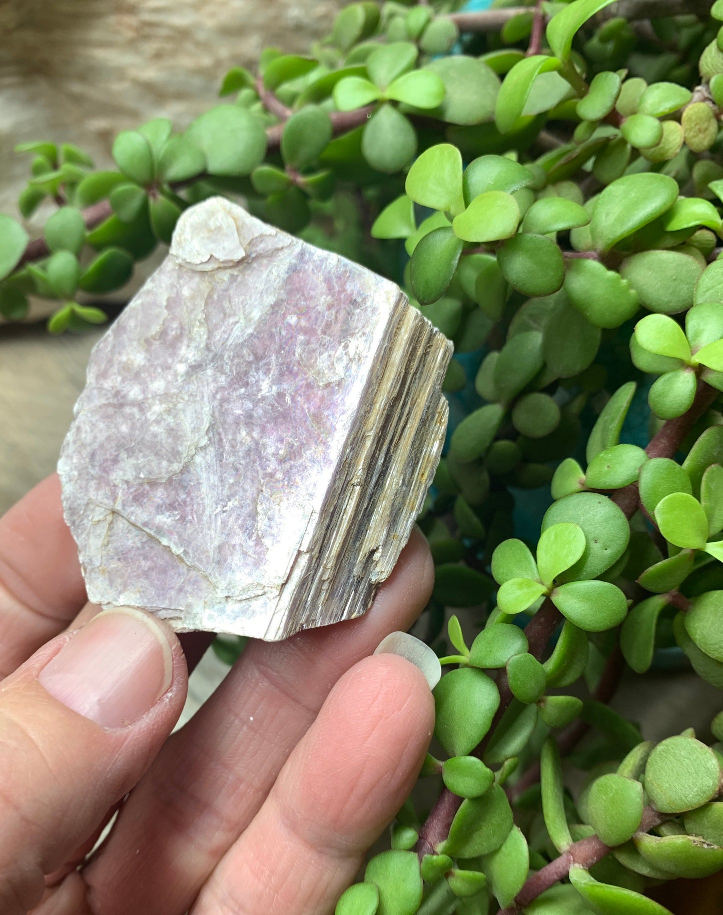 Lepidolite Stone         CRY-0561