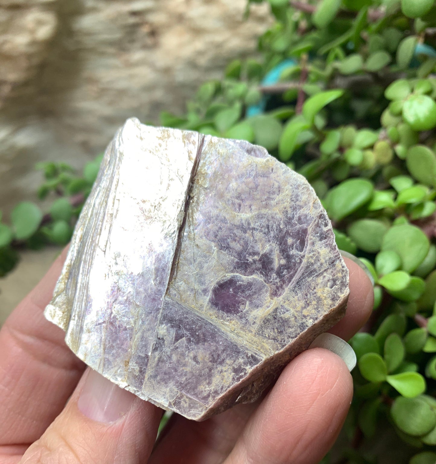 Lepidolite Stone         CRY-0561