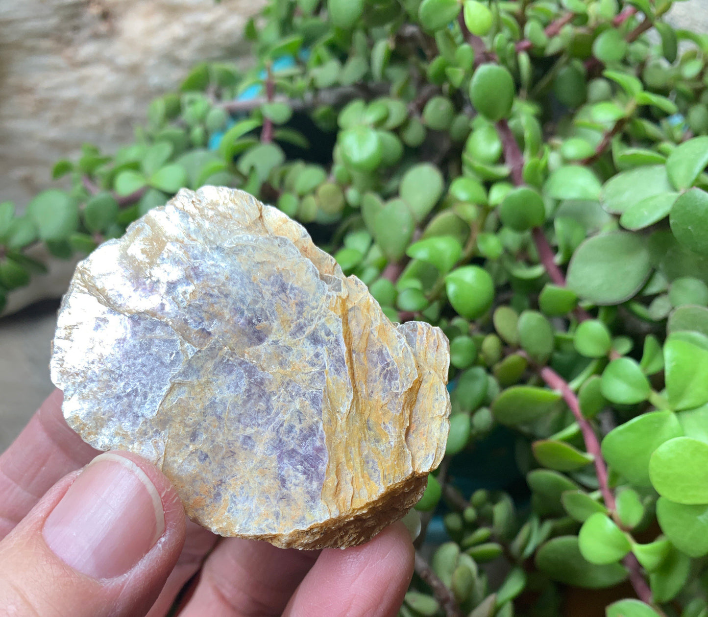 Lepidolite Stone         CRY-0568